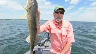 The Magic Moments of Walleyes in Weeds