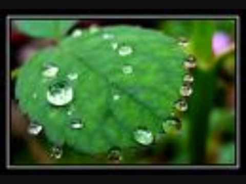 Guarda Cane Nikolovski - flute Rain Drops ....... su YouTube Guarda Cane Nikolovski - flute Rain Drops ....... su YouTube