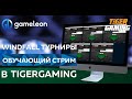 Обучающий стрим по Spin&amp;Go. Играем WindFall турниры в TigerGaming