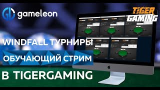 Обучающий стрим по Spin&amp;Go. Играем WindFall турниры в TigerGaming