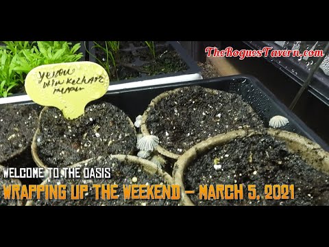 Wrapping Up the Weekend – March 7, 2021 - YouTube
