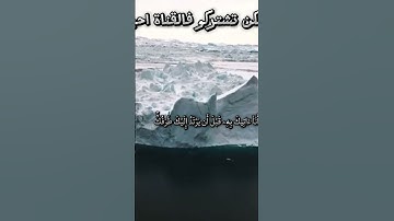 #اسلام_صبحي #سورة_النمل 🥀تلاوة خاشعه لسورة النمل بصوت الشيخ إسلام صبحي 🌸
