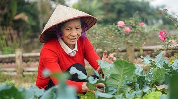 Bữa Cơm Đạm Bạc Và Món Cá Nấu Măng Chua Của Nội / Cơm Nội Nấu