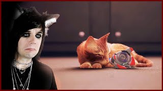 THE ENDING ALMOST MADE ME CRY - Stray [part 3 finale]