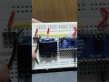 Is Your Plant Thirsty? Arduino Tells You! | OLED SSD1306 | Maradi Innovations #shorts