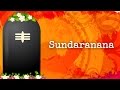 Sundaranana  shiva bhajan  dr manikantan menon  art of living bhajans