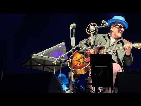 Elvis Costello ~