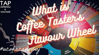 Coffee Taster's Flavour Wheel. What is it? and How do we use it?