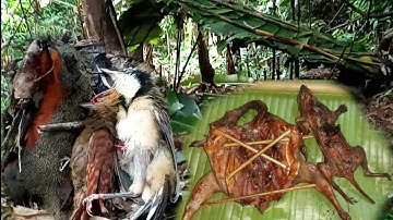 Yos hav zoov tua nas noog qaib qus