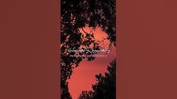 [ سورة الأحزاب : 35 ]  #algeria #photo #quran #fyp #fyシ #قران_كريم #قرآن #سورة_الأحزاب #muhammadloiq