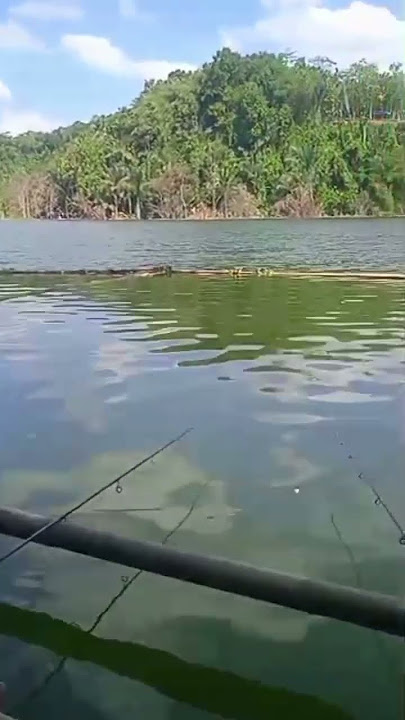 mama shoping papa mancing 😂🤣