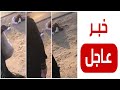 سائق معلمات سعوديات يهرب بعد إجبارهن على النزول بمنتصف الطريق نجومي