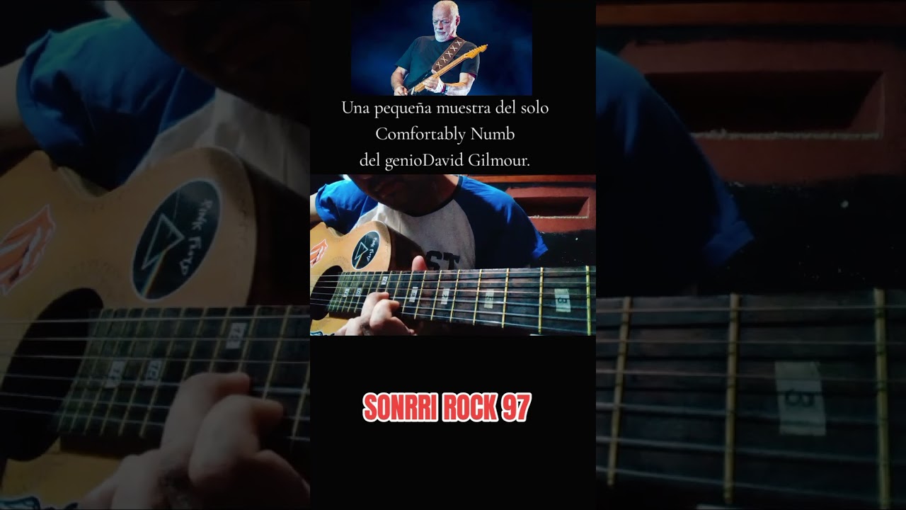 Comfortably Numb, David Gilmour. No soy profesional lo aclaro. Lo hago por que me apasiona el rock.