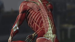 Manual Handling (Edition 2) - Trailer