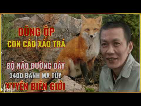 Con Cáo Xảo Trá - Bộ Não Sau 3.400 Bánh Ma Túy Xuyên Biên Giới | Truyền Kỳ Phá Án