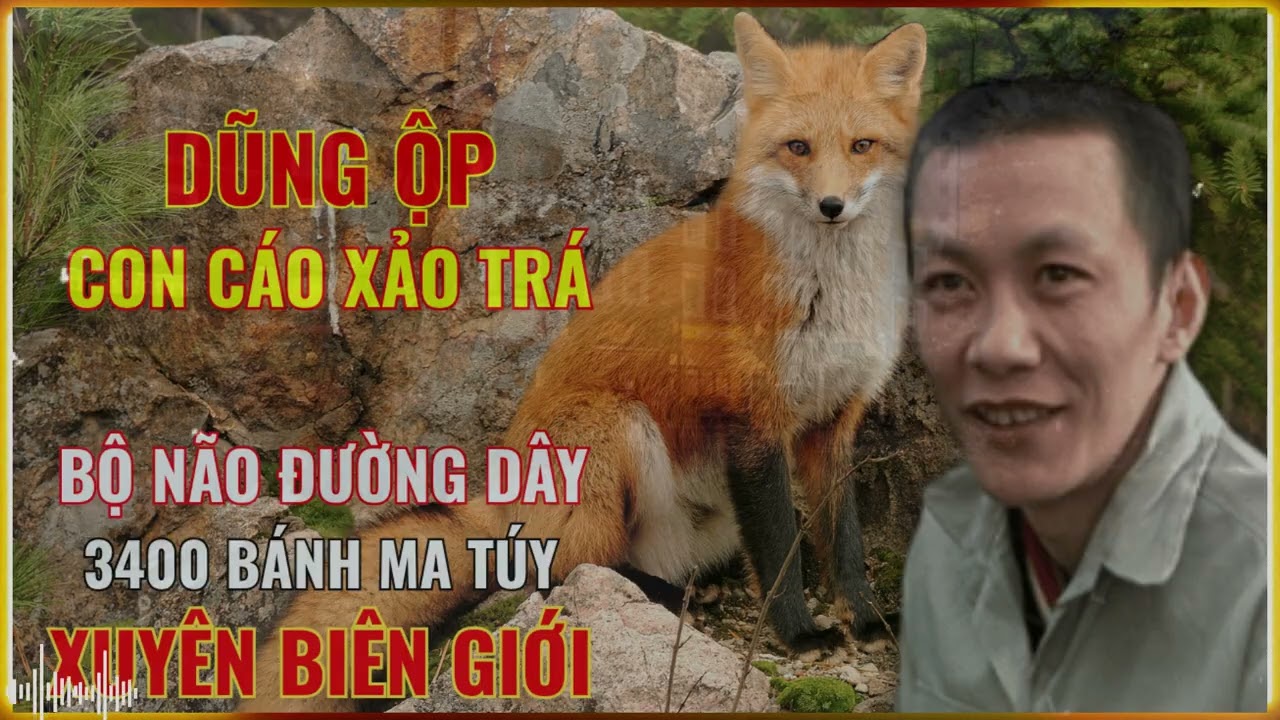 Con Cáo Xảo Trá - Bộ Não Sau 3.400 Bánh Ma Túy Xuyên Biên Giới | Truyền Kỳ Phá Án