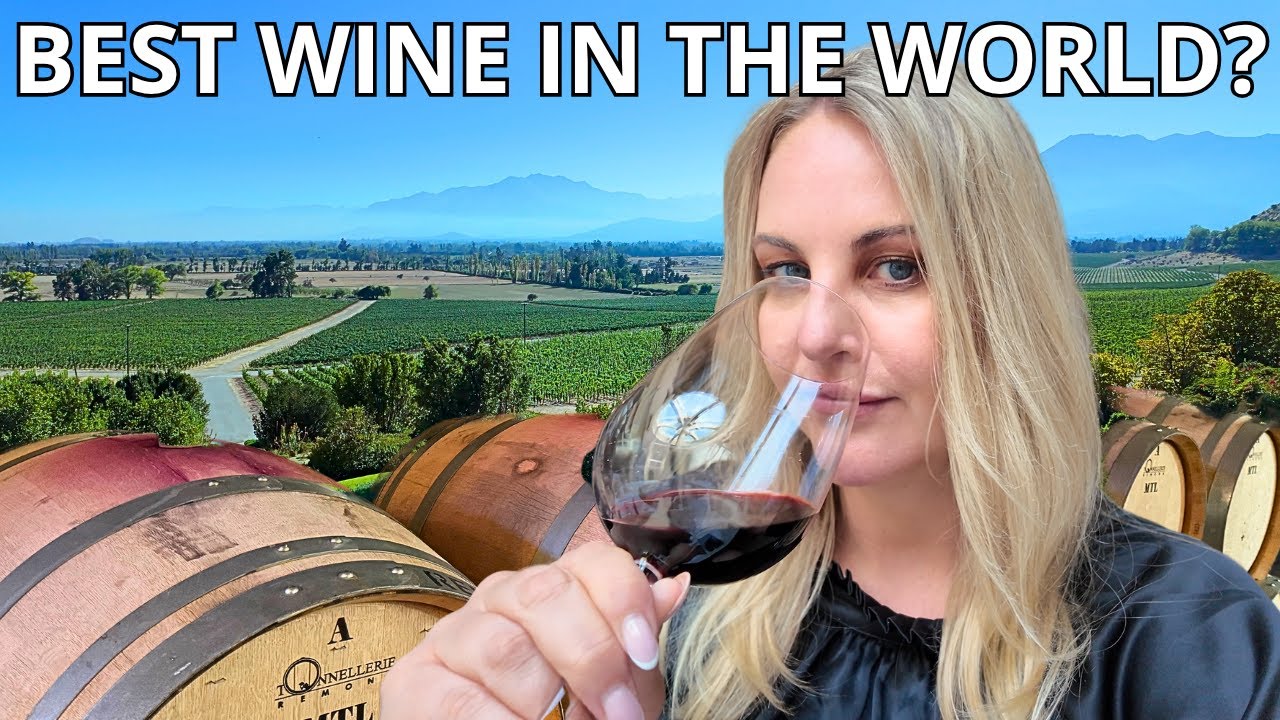 Does Santiago Chile Make the Best Wine in the World?