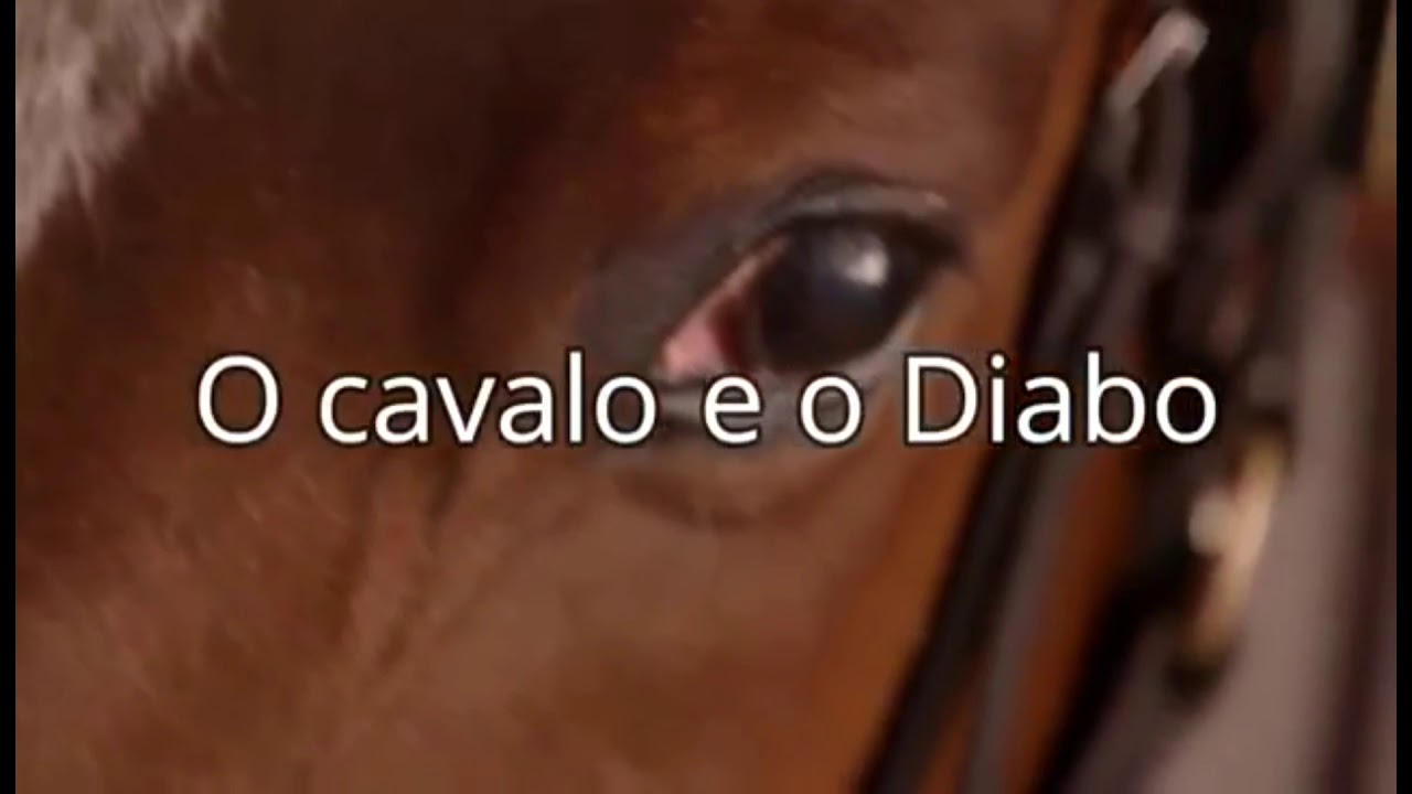 O cavalo... camera iphone 8 plus apk