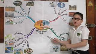 calentamiento global. mapa mental