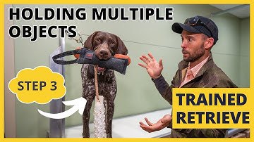 Formal Retrieving Work - Trained Retrieve - Step 3 - Holding Multiple Objects