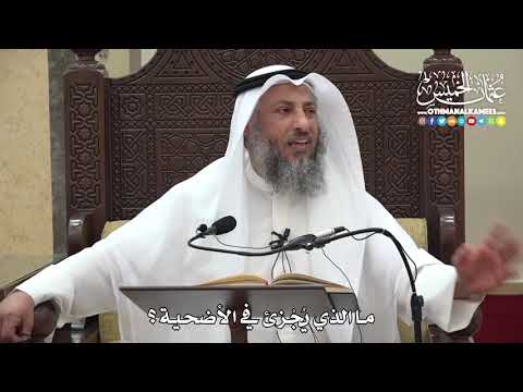 1282 - ما الذي يُجزئ في الأضحية ؟ - عثمان الخميس