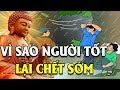 Kể Truyện Đêm Khuya, Tại Sao Bị Trời Đánh Dù Làm Việc Tốt Cứu Người Nhân Qủa Báo ứng Có Thật 100%