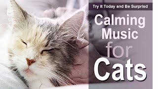 This music will calm your cat and you.🎧 Have fun with your cat - calming music and relaxing music screenshot 1