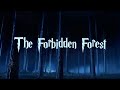 Harry Potter | Spooky Music and Ambience | The Forbidden Forest