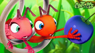 Spring Fever | 😄🐜| Antiks Adventures - Joey and Boo's Playtime by Antiks Adventures - Joey and Boo's Playtime 4,443 views 1 month ago 24 minutes