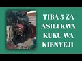 TIBA 5 ZA ASILI KWA KUKU WA KIENYEJI Zenye Matokeo Haraka Na Salama 