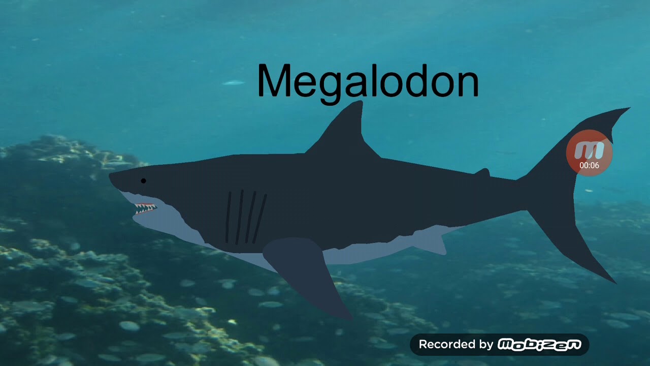 camera iphone 8 plus apk Megalodon vs pliosaurus