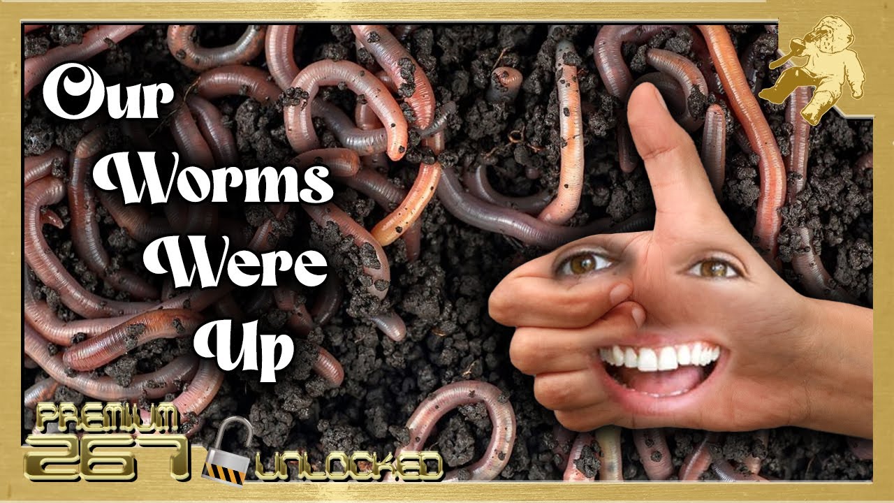 Our Worms Were Up