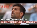 【テニス/和訳】ジョコビッチあまりにも厳しすぎる警告を喰らう vs シュワルツマン 全仏OP2017
