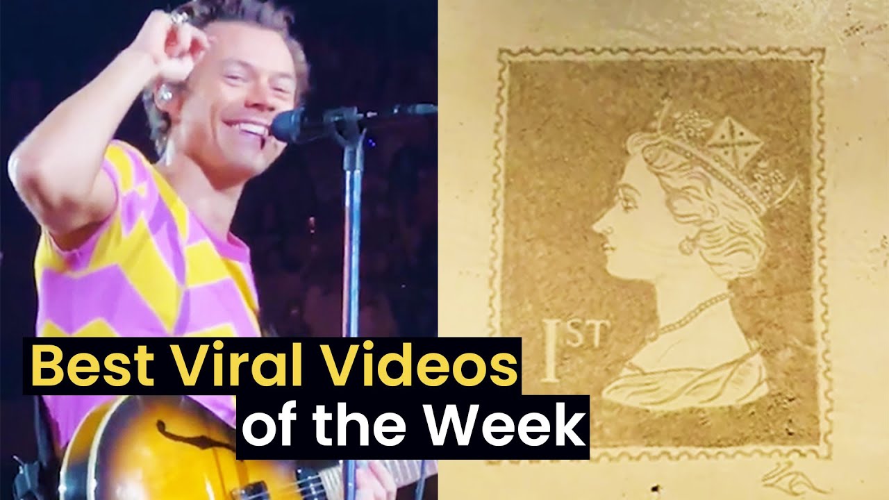 Best Viral Videos of the Week