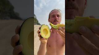 The Fattiest Avocado Fruit In The World