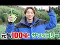 「これからは●して食べます!」澤夏の「ブロッコリー人生」が変わる味!【未公開シーンもあるよ♪】
