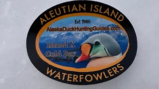 King Eider Hunt 2023