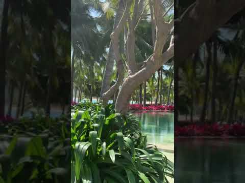 Красивый отель в Санья! Лучший пляж в Санья! Лучший отель для блогеров, много красивых локаций !