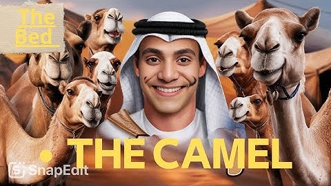 The Camel: The Desert Ship and Its Incredible Story" | The Bed.