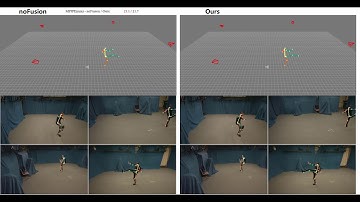 Fusing Wearable IMUs with Multi-View Images for Human Pose Estimation: A Geometric Approach