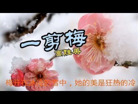 高胜美一曲《一剪梅》，别有一番滋味，好听至极