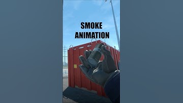 CS2 NEW UPDATE flashbang and smoke animations