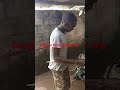 new dance