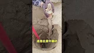 梭梭樹|自說自話的總裁