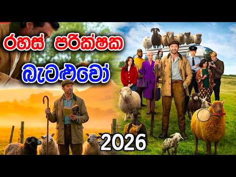 2026 අලුත්ම රහස් පරීක්ශක කතාව  | The Sheep Detectives 2026 | Movie Review