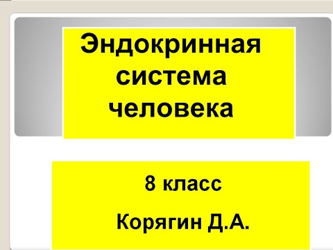 8 класс  Роль эндокринной регуляции