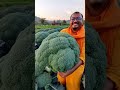 MONSTER Broccoli 🥦😱 | World’s Biggest Broccoli?! You Won’t Believe This! Lord Buta’s Farm Secret
