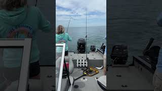 Lake Erie Walleye daytime bite is on fire!!!