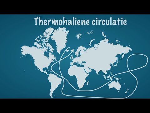 Video: Wat is de thermohaliene circulatie van de wereldoceaan?