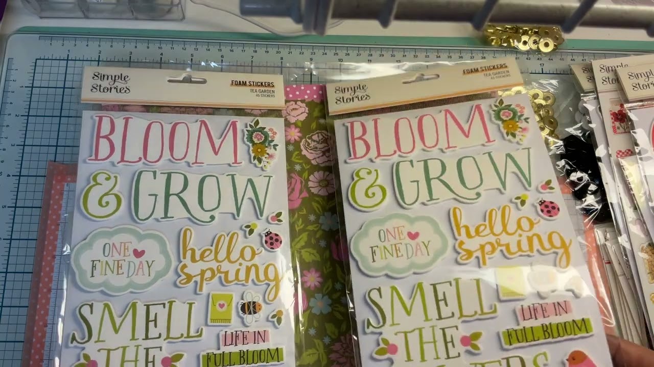 Scrapbook expo Duluth, Ga July 2025